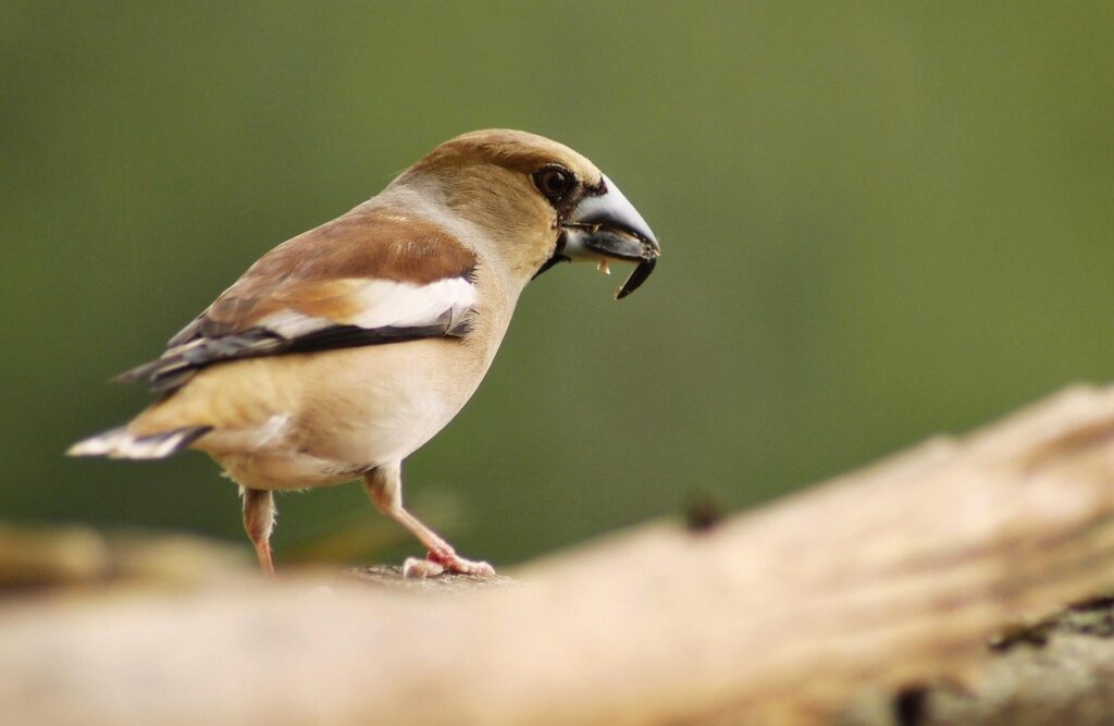 découvrez les avantages de vivre en banlieue : cadre calme, espaces verts, qualité de vie et proximité des commodités pour toute la famille.