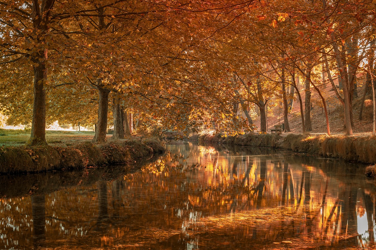 découvrez nos formations professionnelles à la rochelle pour booster vos compétences en business et développement commercial. inscrivez-vous dès aujourd'hui !